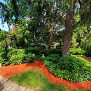 Spring Forest Deli and Catering Willow Springs Illinois Event Venue Rental Location for Wedding Baby Shower Bridal Birthday Reunion Graduation Celebration garden pavilion landscaping