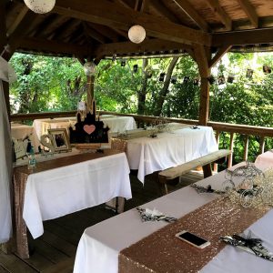 Spring Forest Deli and Catering Willow Springs Illinois Event Venue Rental Location for Wedding Baby Shower Bridal Birthday Reunion Graduation Celebration garden pavilion wedding decorations 02