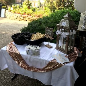 Spring Forest Deli and Catering Willow Springs Illinois Event Venue Rental Location for Wedding Baby Shower Bridal Birthday Reunion Graduation Celebration garden pavilion wedding decorations 03